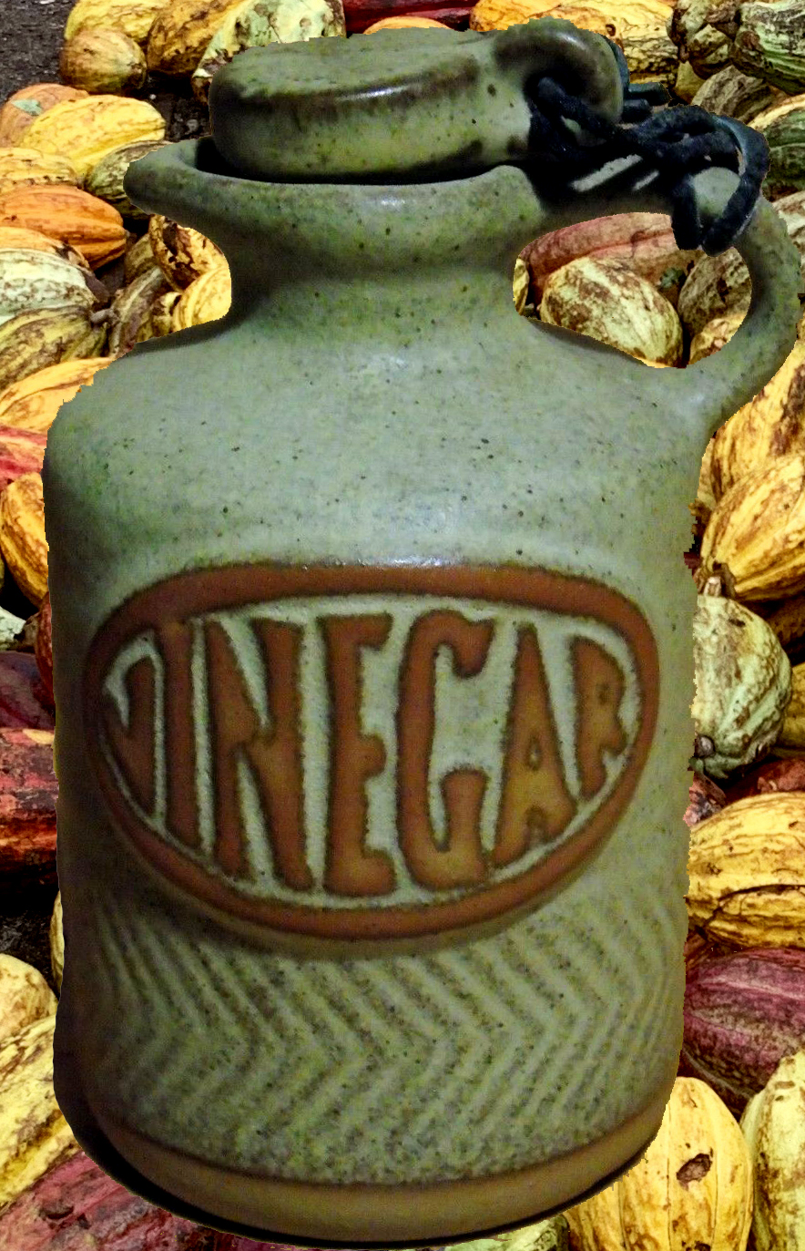 The Ancient Elixir: Unveiling the Health Benefits and Art of Vinegar Making